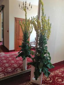 Fotografia z galérie ubytovania Hotel Plock v destinácii Płock