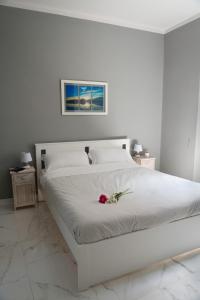 Gallery image of Sun Frediano Suites Florence in Florence