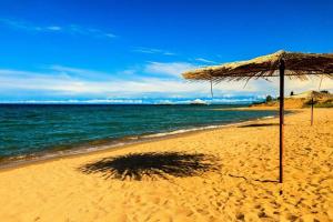 a beach with a straw umbrella and the ocean at Tri Korony in Cholpon-Ata