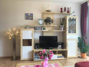 ein Wohnzimmer mit einem TV und einem Bücherregal in der Unterkunft Ferienwohnung direkt am Ryck- Nähe UNI und Kliniken in Greifswald