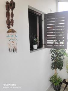 Fotografie z fotogalerie ubytování Apartments Tamaris v destinaci Zaostrog