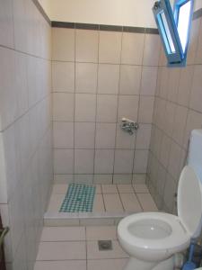 a bathroom with a toilet and a shower with a window at Iliotropio Ligia in Ligia