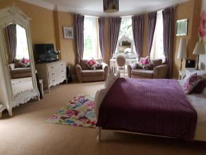 a bedroom with a large bed and a large mirror at Glan Aber Hotel in Betws-y-coed