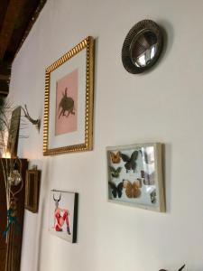 a wall with pictures of animals on it at Le Boudoir d'artiste in Semur-en-Auxois