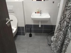 Vannituba majutusasutuses Apartmány U splavu