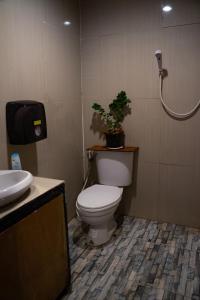 a bathroom with a toilet with a plant on top of it at Moov Inn Garden Hostel in Ko Tao