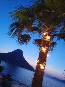 a palm tree with lights on it in front of the ocean at Fatolitis Studios in Masouri