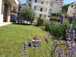 un jardín con flores púrpuras en un patio en Apartments Blaža, en Podstrana