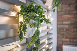 Foto Budapestis asuva majutusasutuse BpR King Street Vintage Design Home with A/C galeriist