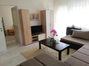 TV a/nebo společenská místnost v ubytování Strandfürdő Apartman + 34 fotografií