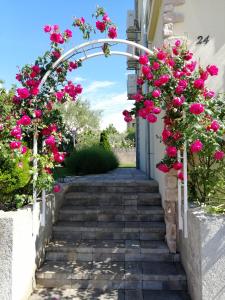 Zahrada ubytování Guesthouse Olei