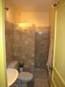 a bathroom with a toilet and a sink and a shower at Les Gîtes du Lac - Appartements in Montauroux