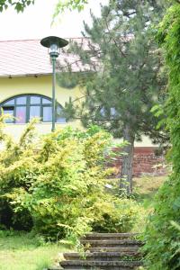 un jardin avec un arbre et des escaliers en face d'un bâtiment dans l'établissement Árnyas Park Apartmanház, à Balatonalmádi