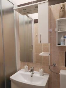 een badkamer met een wastafel en een spiegel bij Fami Superior One Bedroom Apartment in Rijeka +47 foto's