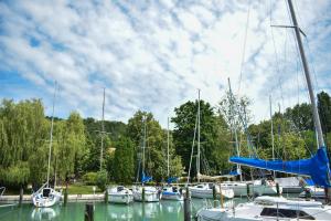 a bunch of boats are docked in a harbor at Tihany Yacht Club in Tihany
