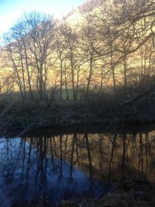 Natural landscape near the bed & breakfast 
