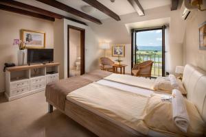 a bedroom with a large bed and a television at My Soul Resort in Knić +42 photos