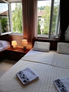 two beds in a room with two large windows at Apartments S&S in Konjic