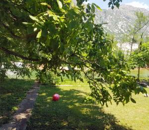Zahrada ubytování Vacation Home Naluka