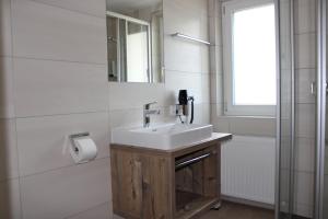 a bathroom with a sink and a mirror and a shower at Apartments Alpenrose in Flirsch