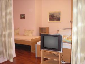 TV tai viihdekeskus majoituspaikassa Stara Breza 1 Rooms