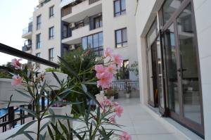 - un balcon avec des fleurs roses en face d'un bâtiment dans l'établissement Apart Complex Amphora Palace, aux Sables d'or