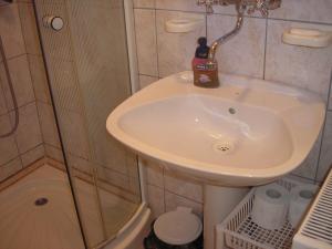 ein Bad mit einem Waschbecken und einer Dusche in der Unterkunft Stara Breza 1 Rooms in Palić