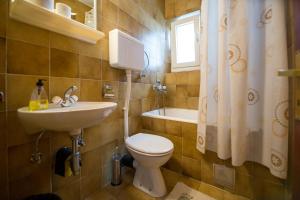 Ένα μπάνιο στο Guesthouse Dapcevic +20 φωτογραφίες