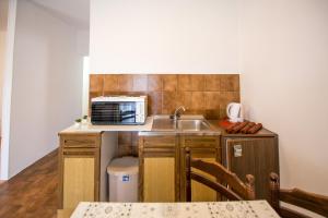 Kuchyň nebo kuchyňský kout v ubytování Guesthouse Dapcevic