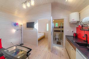 a small room with a kitchen and a bathroom at Pod Gruszą Wicie in Wicie