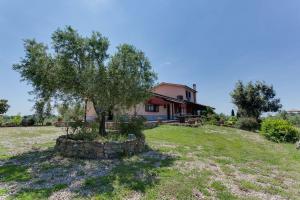 Zahrada ubytování Agriturismo Casale Sasso
