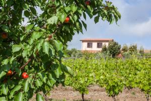 Zahrada ubytování Agriturismo Casale Sasso