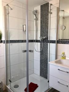 a bathroom with a shower and a sink at Star Apart Hotel Sachsenhausen in Frankfurt/Main