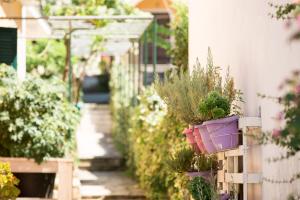 Zahrada ubytování Theodora Corfu Holiday Apartments