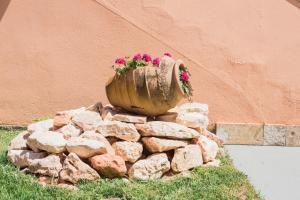Fotografie z fotogalerie ubytování Theodora Corfu Holiday Apartments v destinaci Ipsos