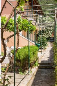 Zahrada ubytování Theodora Corfu Holiday Apartments