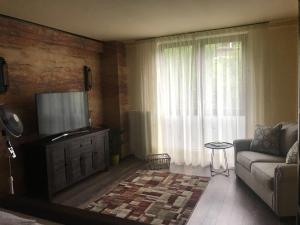 sala de estar con sofá y TV de pantalla plana en Xili's green apartment en Braşov