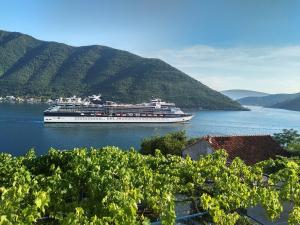 a cruise ship in the water with mountains at Apartments Jovanović in Perast
