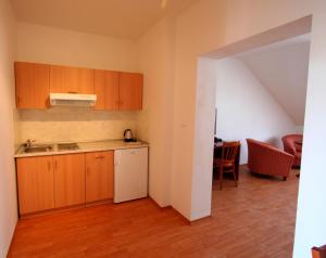 Kuchyňa alebo kuchynka v ubytovaní Apart Hotel Susa
