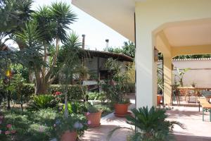 a courtyard of a house with a lot of plants at Villa Orlando in Bova Marina