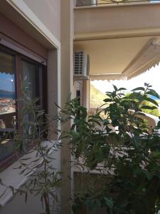 a plant in front of a window in a building at Fotini's Apartment in Nea Peramos