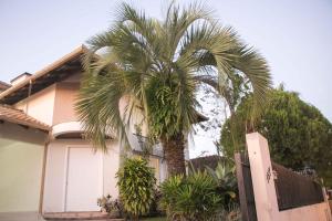 a palm tree in front of a house at Casa Boutique Requinte e Aconchego in Pomerode