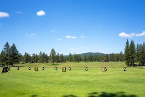 Imagen de la galería de Luxury Old Greenwood 3BD Villa - Villa 12. Comes w/ Free Grocery Delivery!, en Truckee