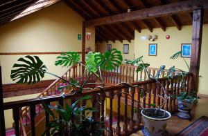 Fotografie z fotogalerie ubytování Posada Cabárceno v destinaci Cabárceno