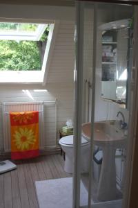 アミアンにあるLe Kiosque Amiens chambres d'hôtesのバスルーム(トイレ、洗面台付)、窓が備わります。