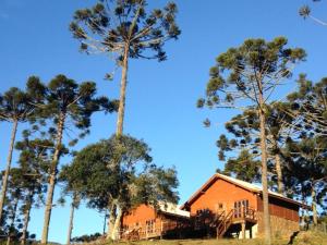 a house in the middle of a forest of trees at Celeiro das Águas Brancas in Urubici