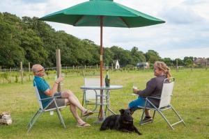 dos personas sentadas en una mesa bajo un paraguas con un perro en Quex Livery Glamping, en Birchington