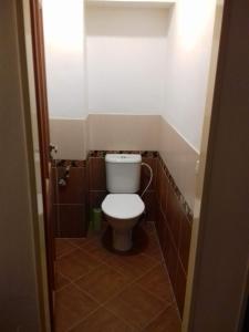a bathroom with a toilet in a small room at Apartmán U Zebry in Bílá Třemešná