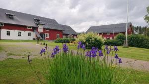 Zahrada ubytování Nytorpsgården