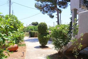 A garden outside Calypso Apartments
